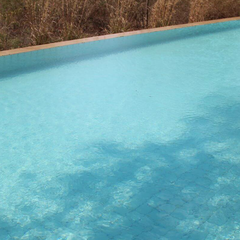 Tree Lodge Pench