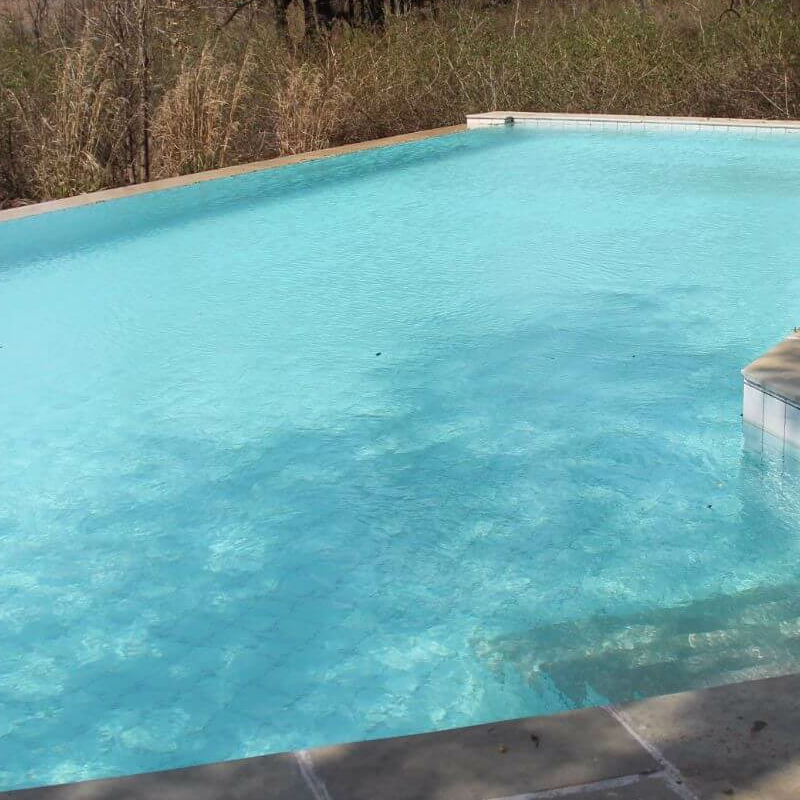 Tree Lodge Pench