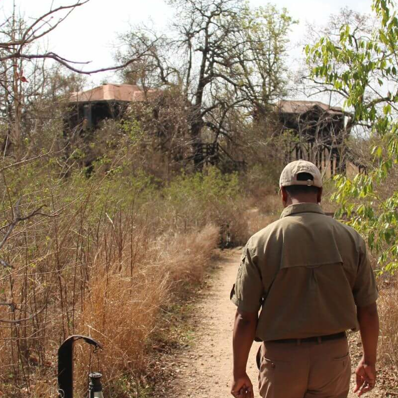 Tree Lodge Pench