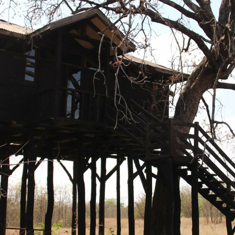 Tree Lodge Pench