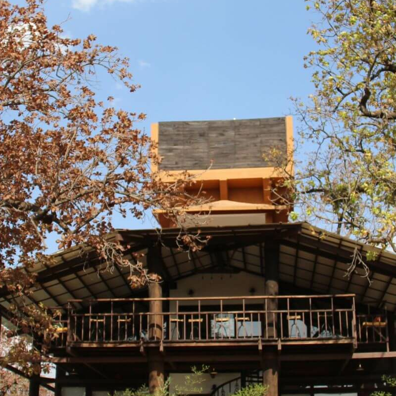 Tree Lodge Pench