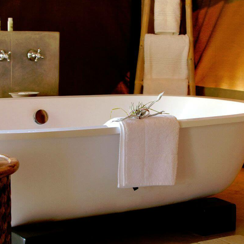 Tuli Safari Lodge