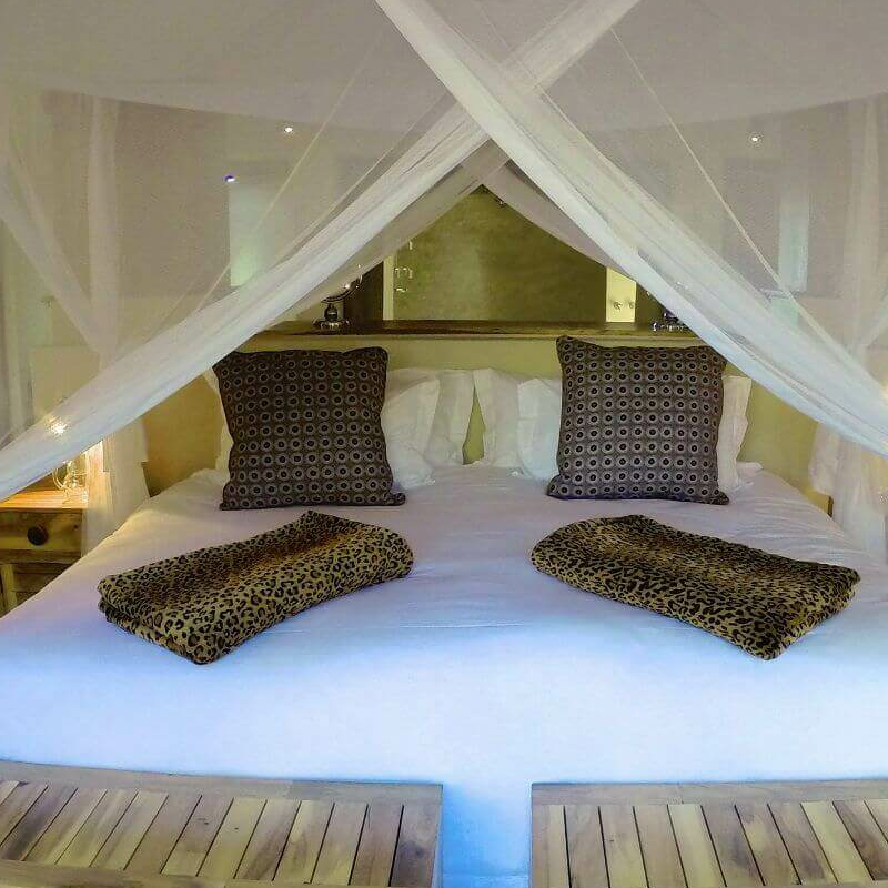 Tuli Safari Lodge