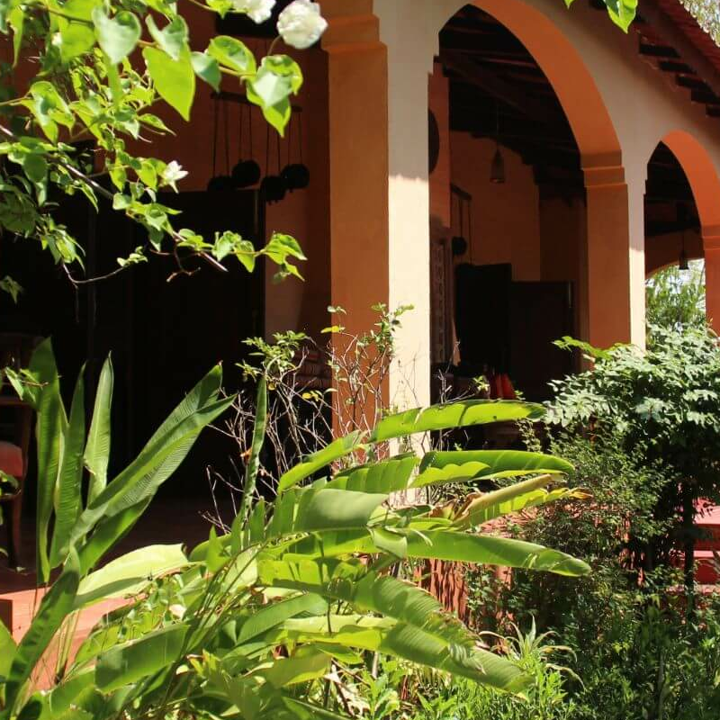 Tuli Tiger Resort