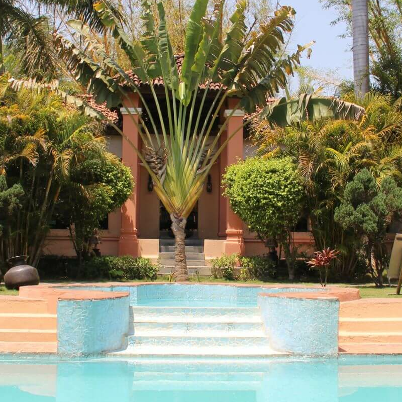 Tuli Tiger Resort
