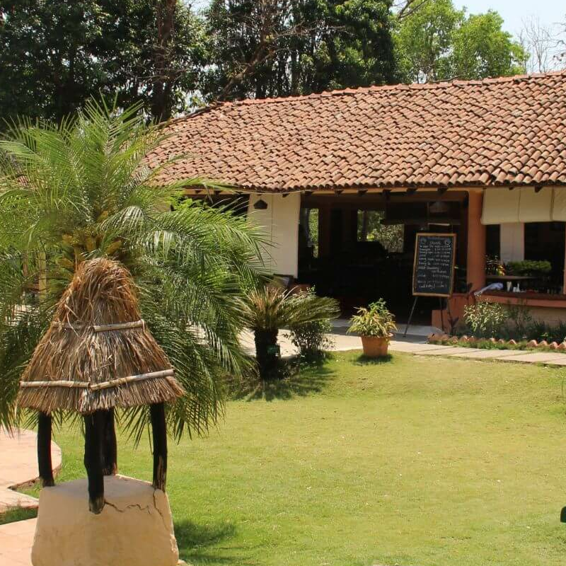 Tuli Tiger Resort