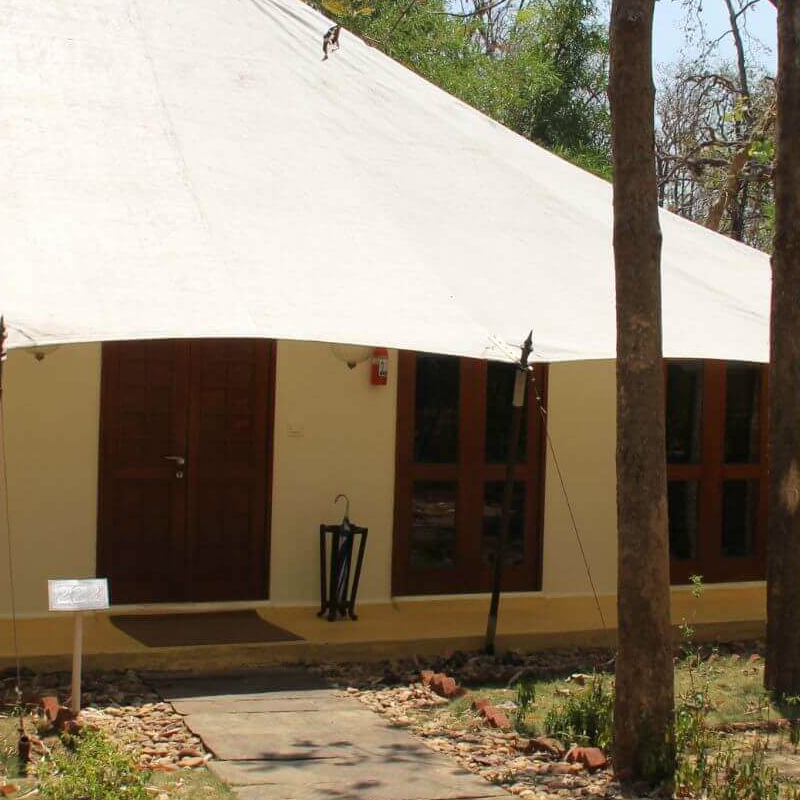 Tuli Tiger Resort