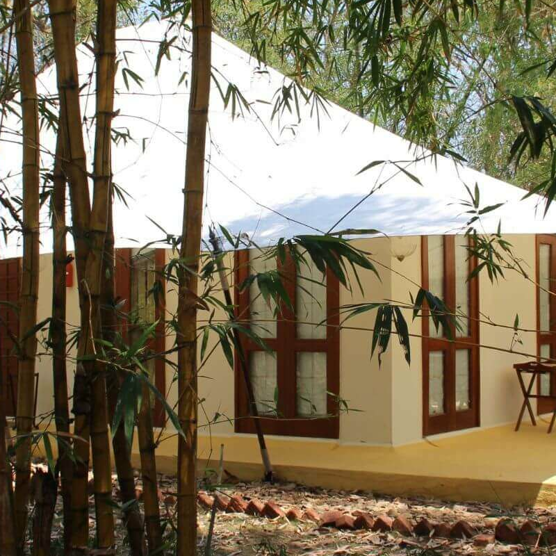 Tuli Tiger Resort