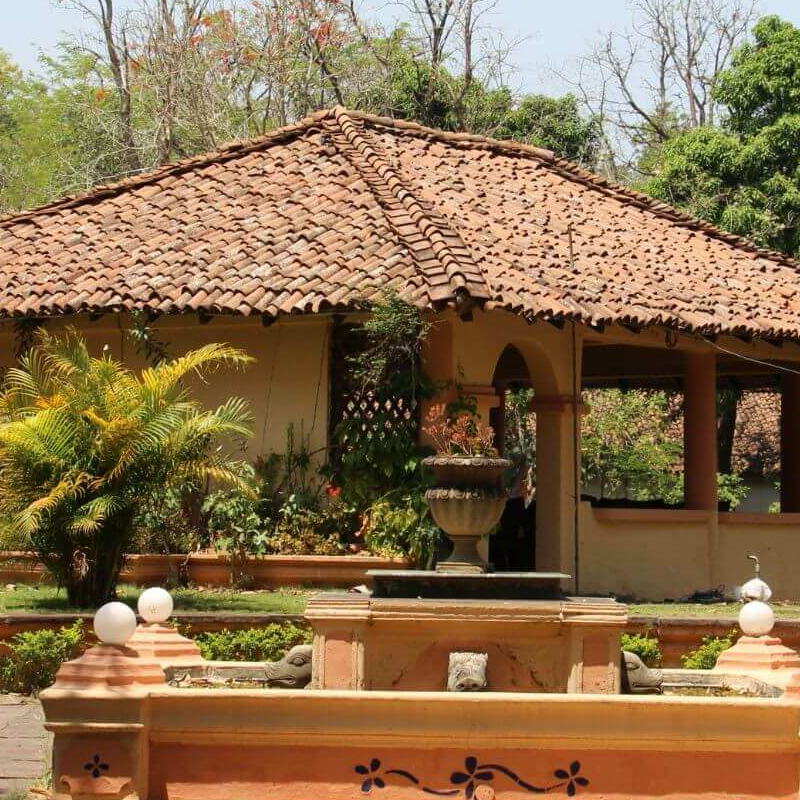 Tuli Tiger Resort