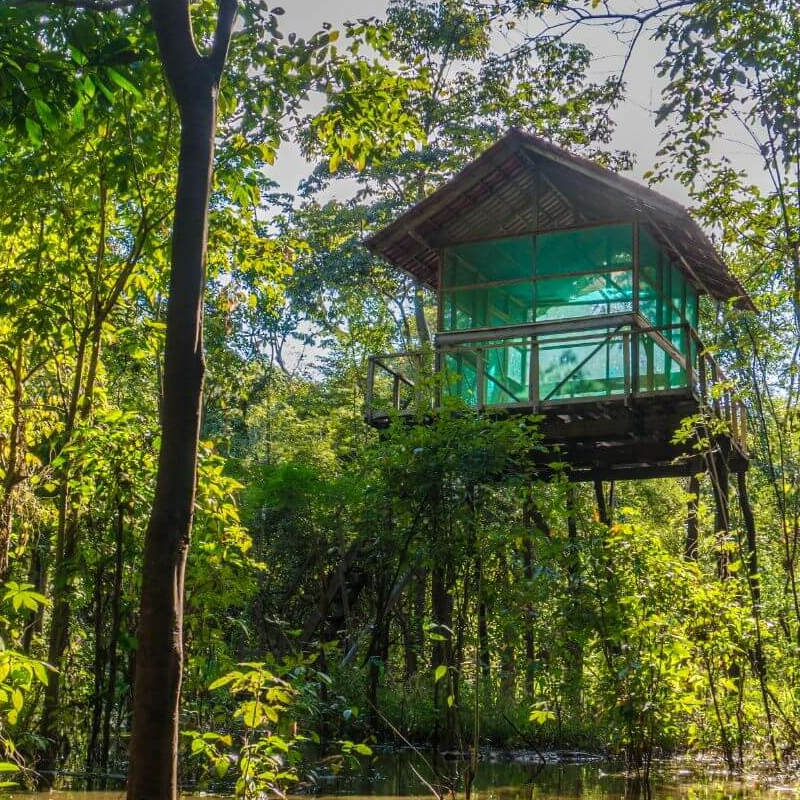 Uakari Lodge