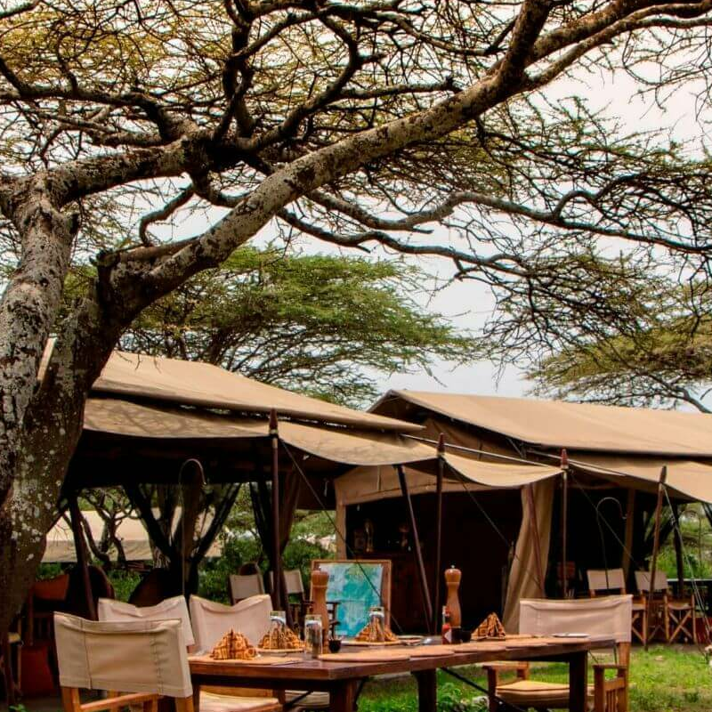 Ubuntu Camp