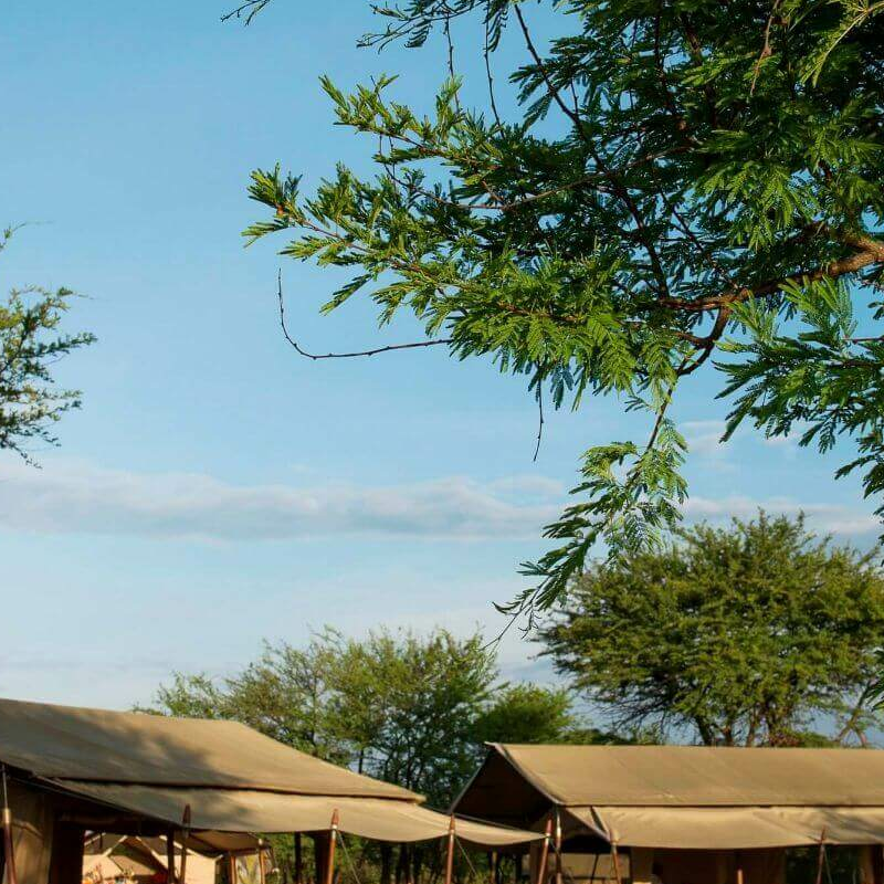 Ubuntu Camp
