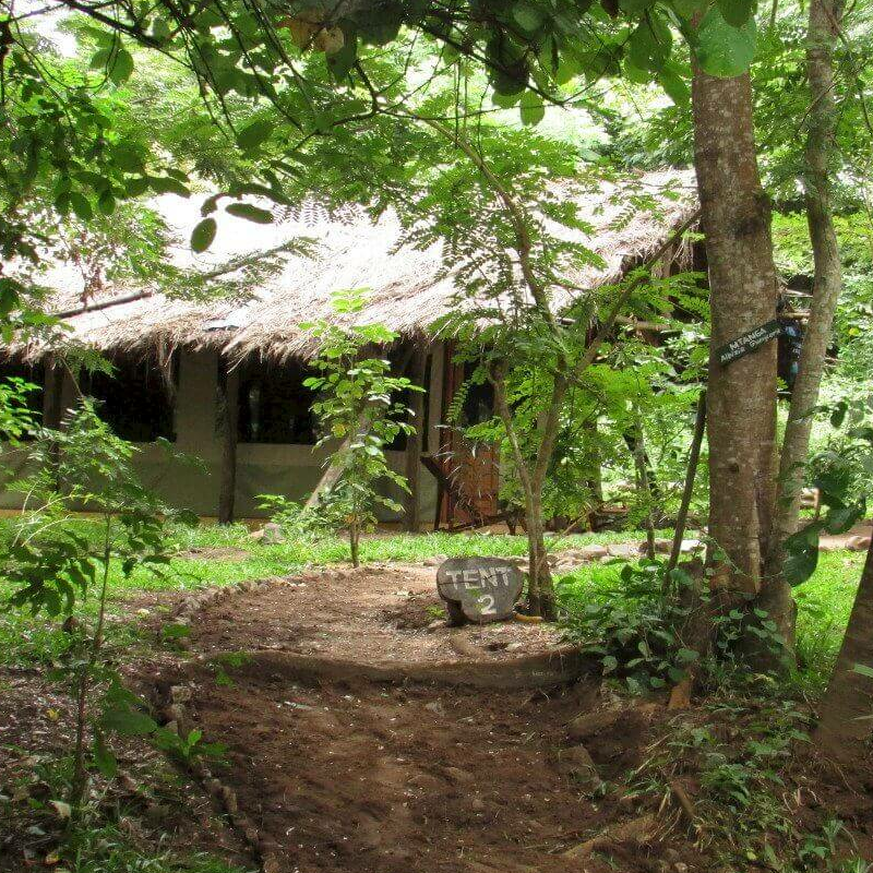 Udzungwa Forest Camp