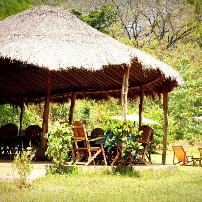 Udzungwa Forest Camp