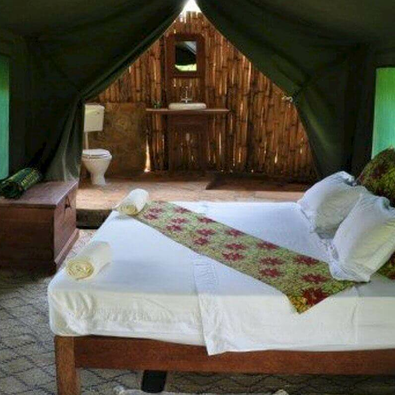 Udzungwa Forest Camp