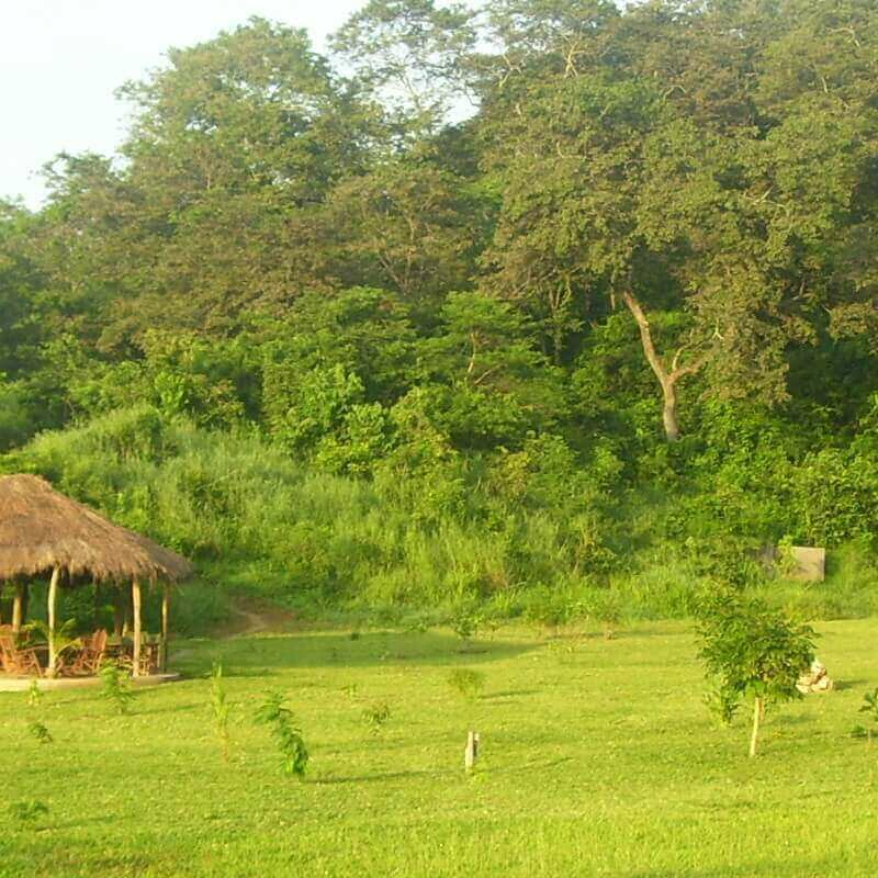 Udzungwa Forest Camp