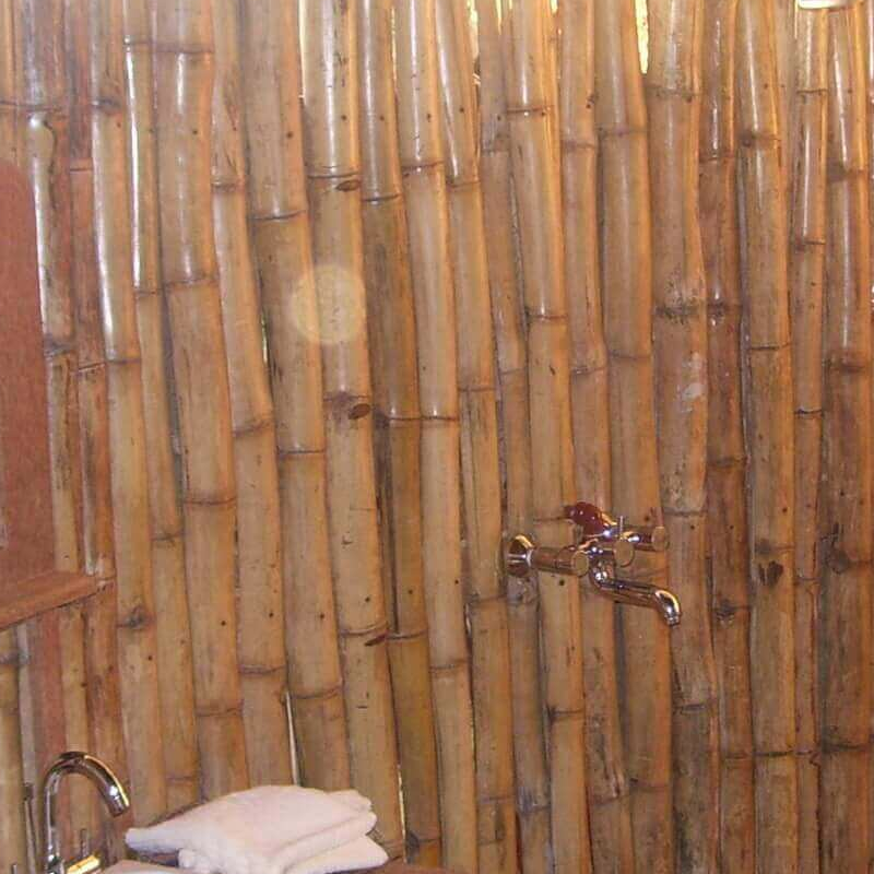 Udzungwa Forest Camp