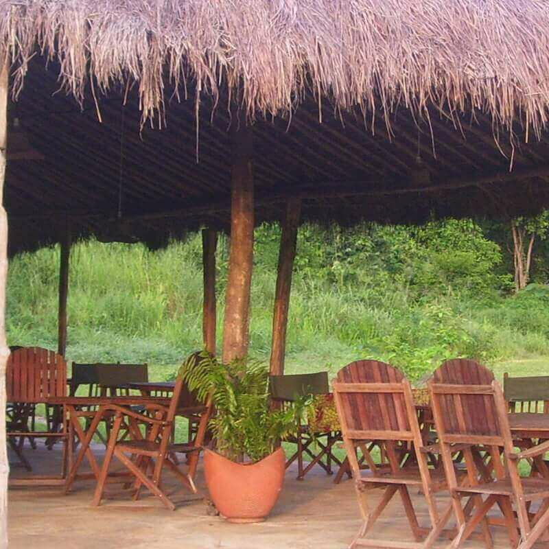 Udzungwa Forest Camp