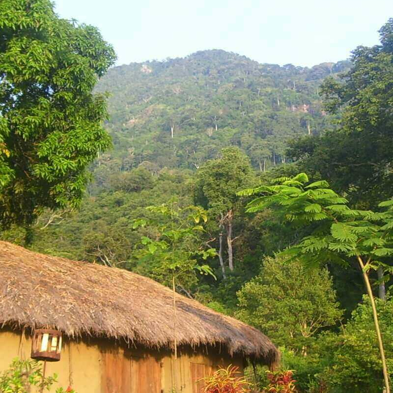 Udzungwa Forest Camp