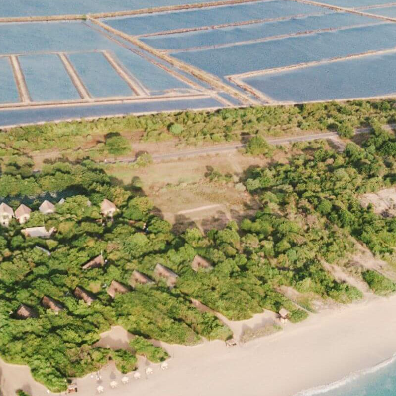 Uga Jungle Beach Resort