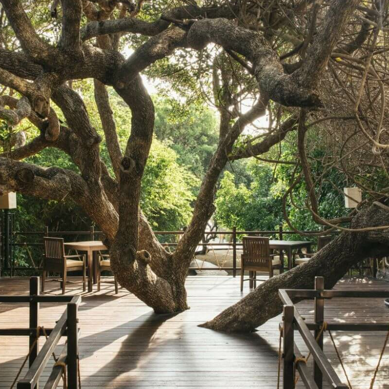 Uga Jungle Beach Resort