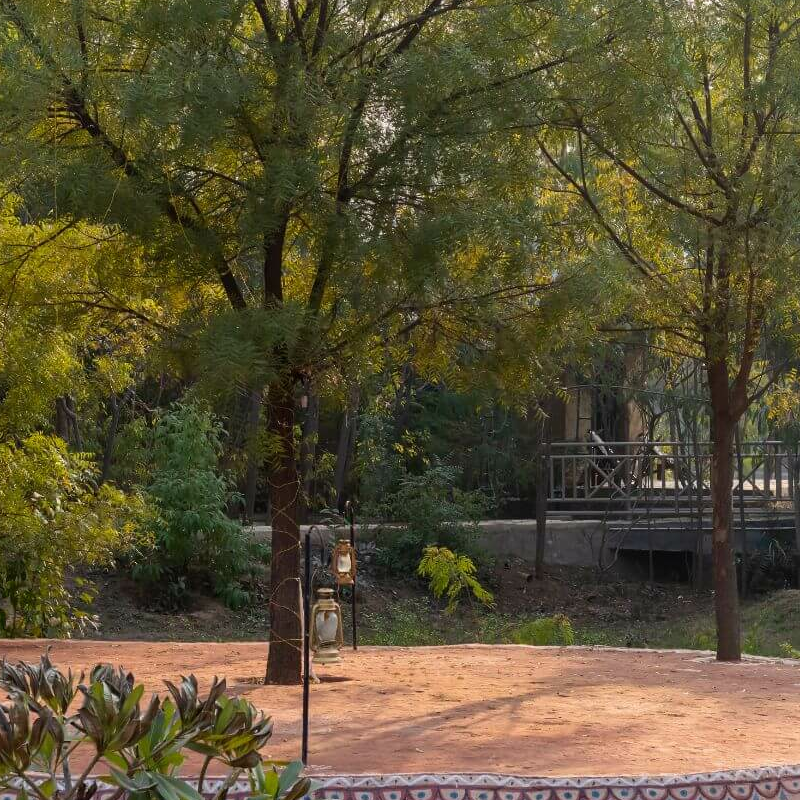 Vanaashrya Resort