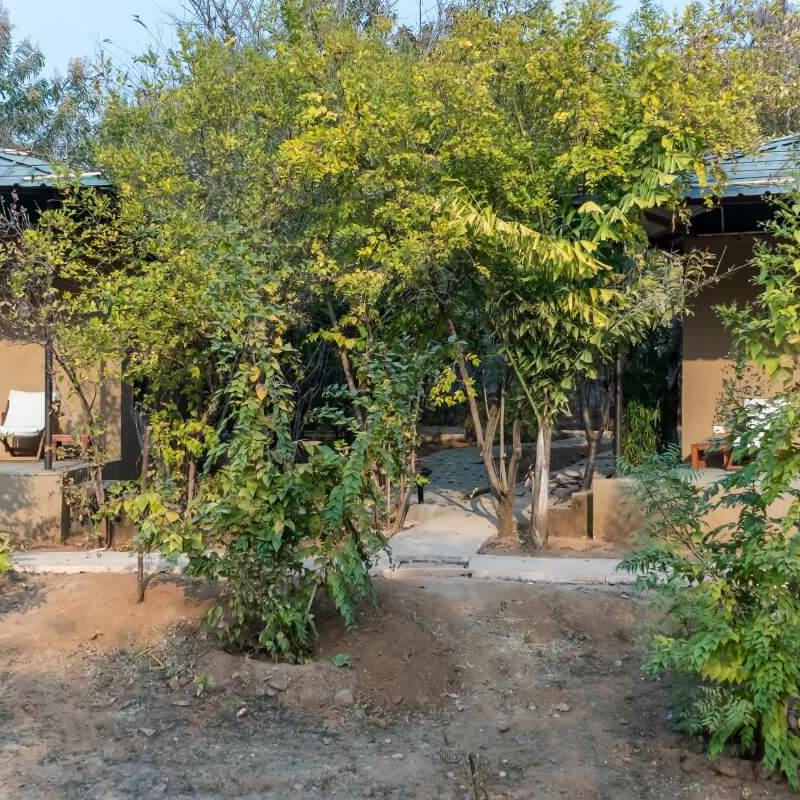 Vanaashrya Resort