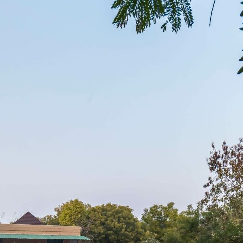 Vanaashrya Resort