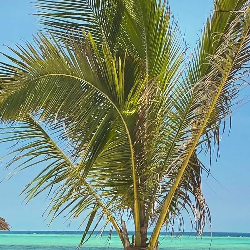 Villa Turquoise