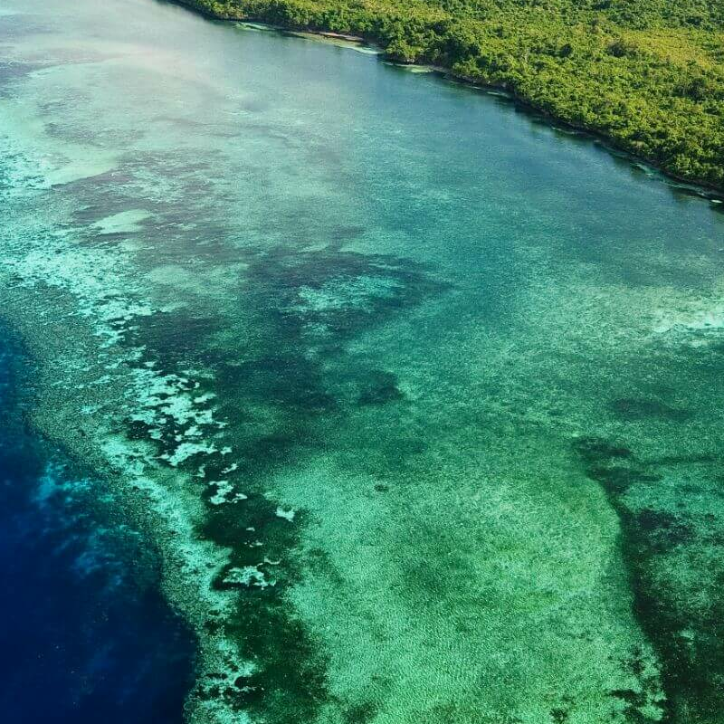 Wakatobi Dive Resort