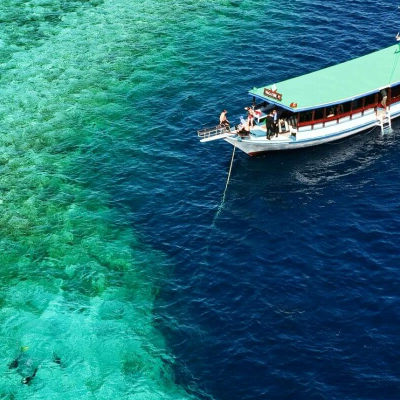 Wakatobi Dive Resort