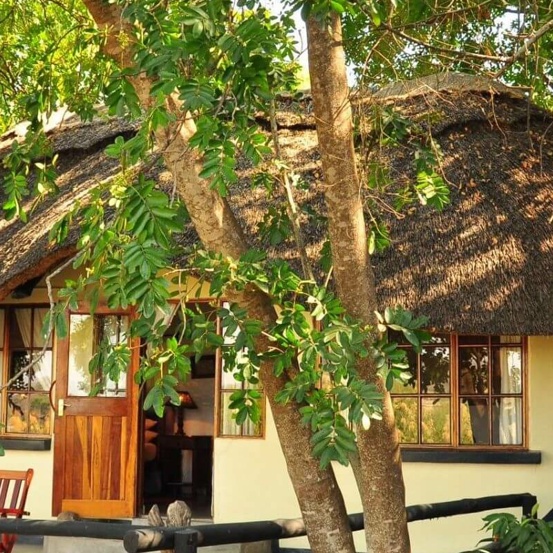 Waterberry Zambezi Lodge