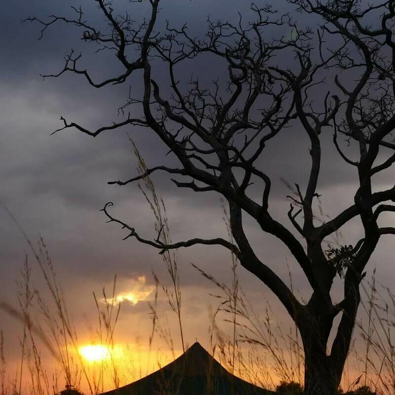 Wayo Kogatende Camp