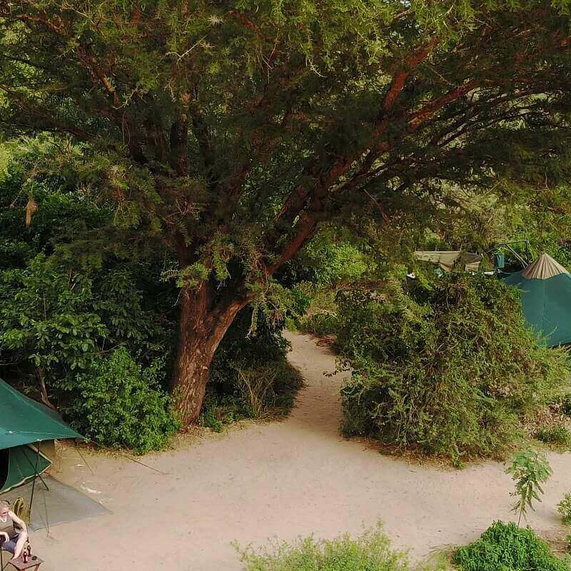 Wayo Manyara Camp
