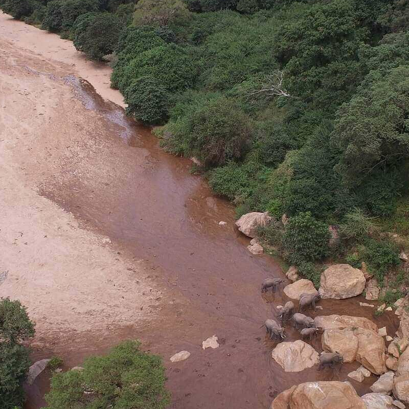 Wayo Manyara Camp