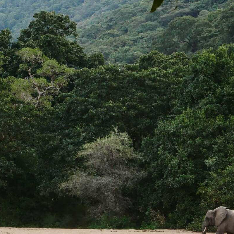 Wayo Manyara Camp