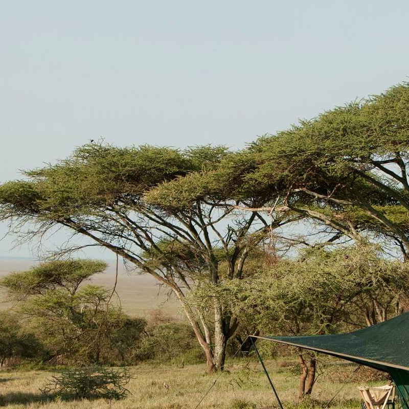 Wayo Naabi Camp