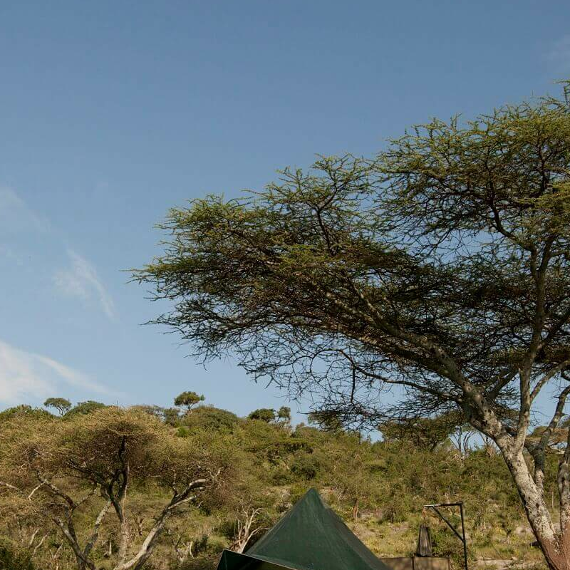 Wayo Naabi Camp