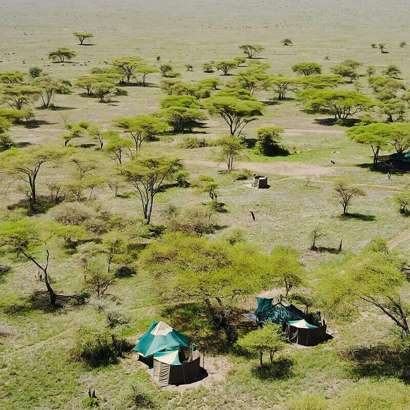 Wayo Naabi Camp