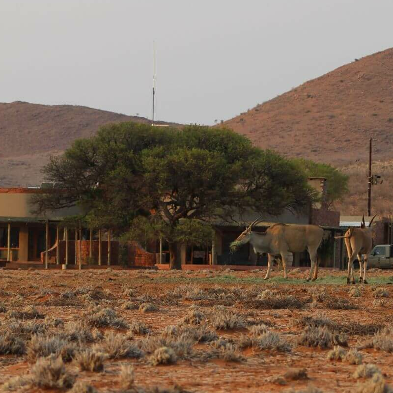 We Kebi Safari Lodge