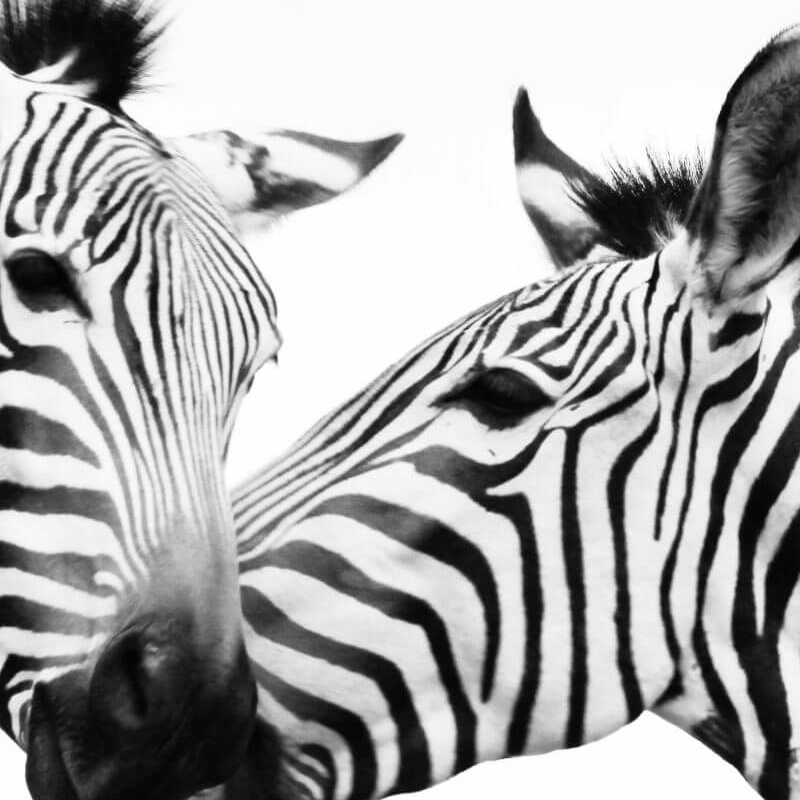 We Kebi Safari Lodge