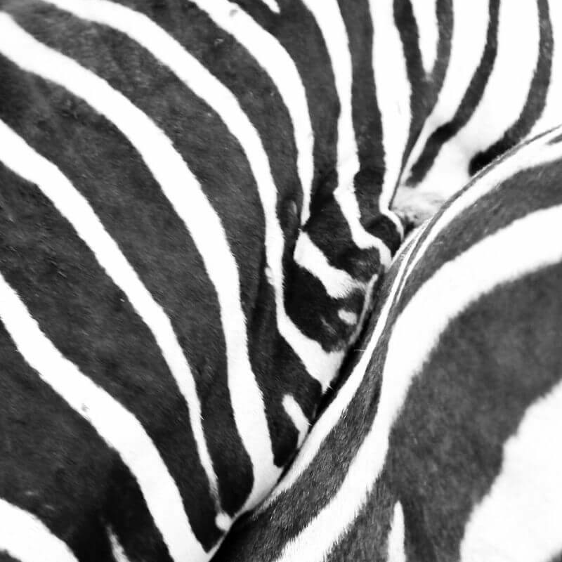 We Kebi Safari Lodge