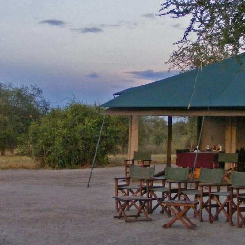 Whistling Thorn Camp