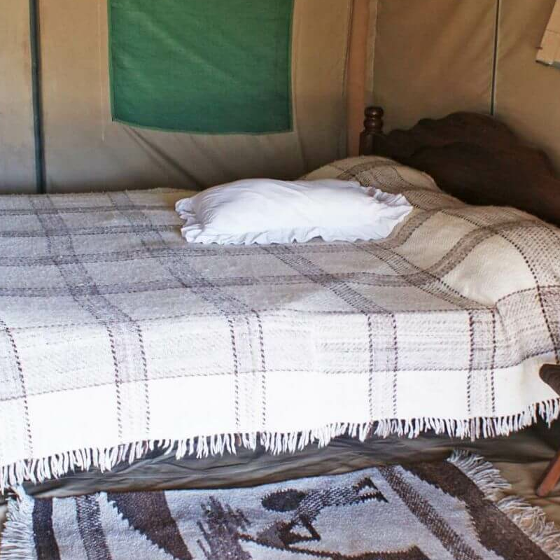 Whistling Thorn Camp