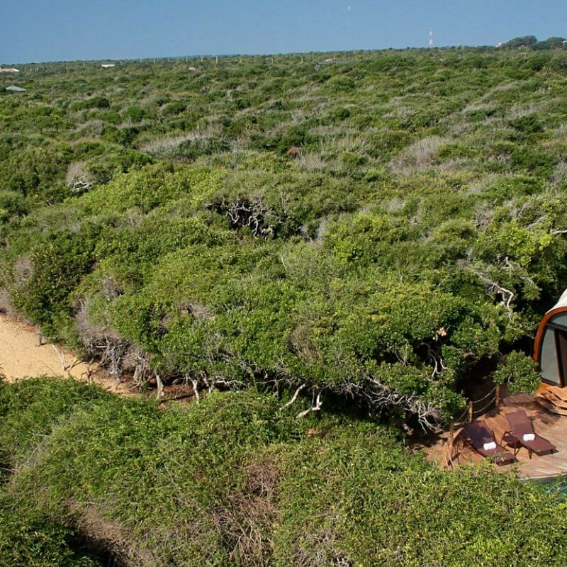 Wild Coast Tented Lodge