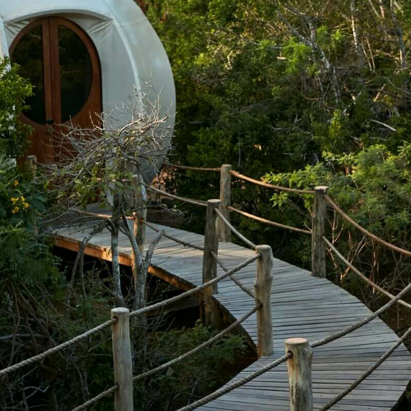 Wild Coast Tented Lodge