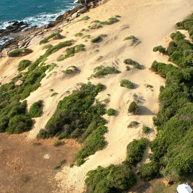 Wild Coast Tented Lodge