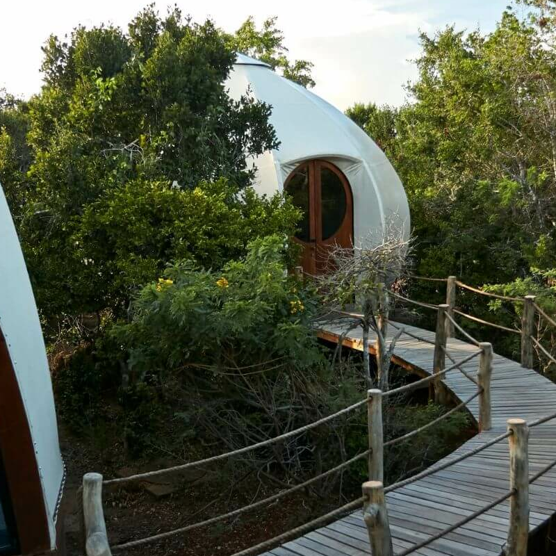 Wild Coast Tented Lodge