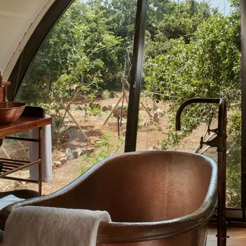 Wild Coast Tented Lodge