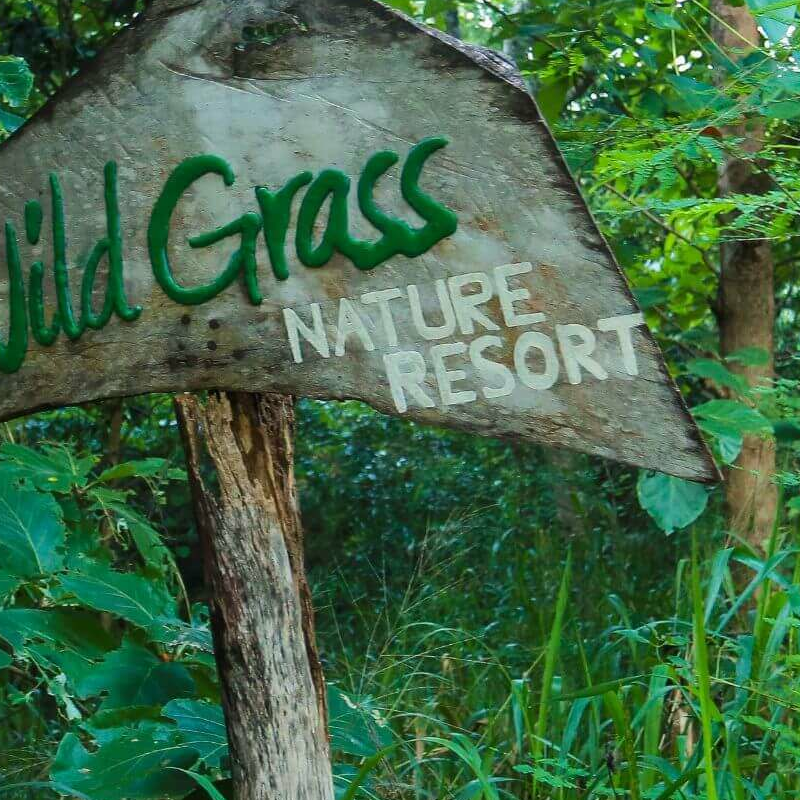 Wild Gras Nature Resort